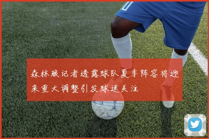 森林狼记者透露球队夏季阵容将迎来重大调整引发球迷关注