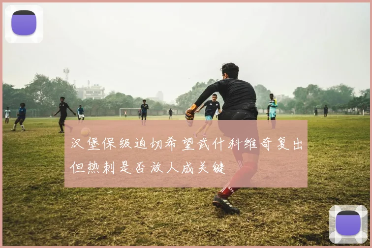 汉堡保级迫切希望武什科维奇复出但热刺是否放人成关键