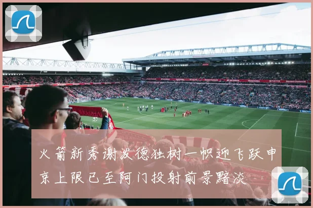 火箭新秀谢泼德独树一帜迎飞跃申京上限已至阿门投射前景黯淡
